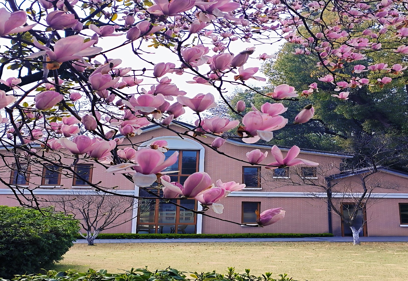 e64d0b9c66aa21d6e1ee5c8f6623748e.jpg